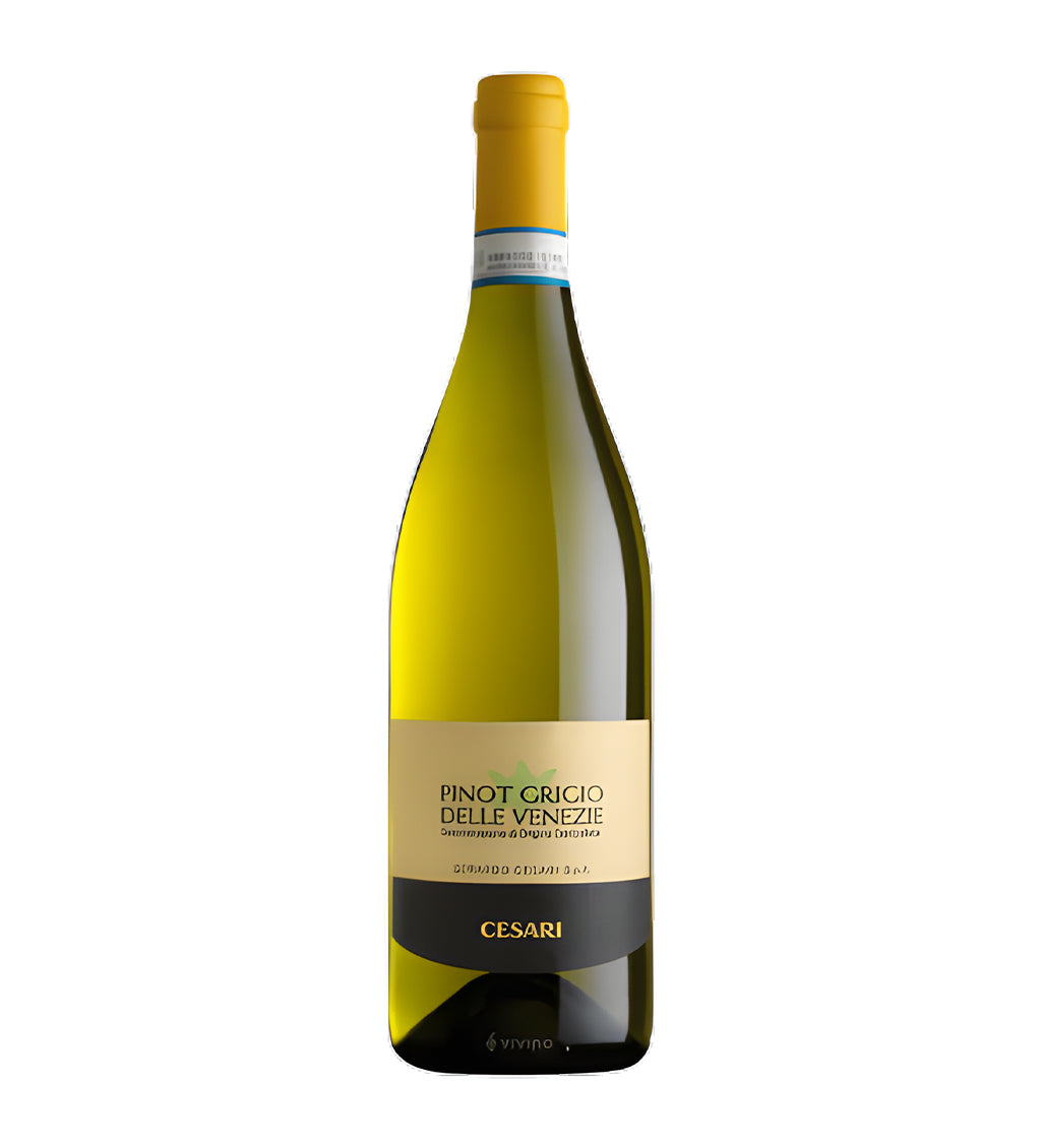 Bottle of Cesari Pinot Grigio Venezie IGT, white wine, from Italy