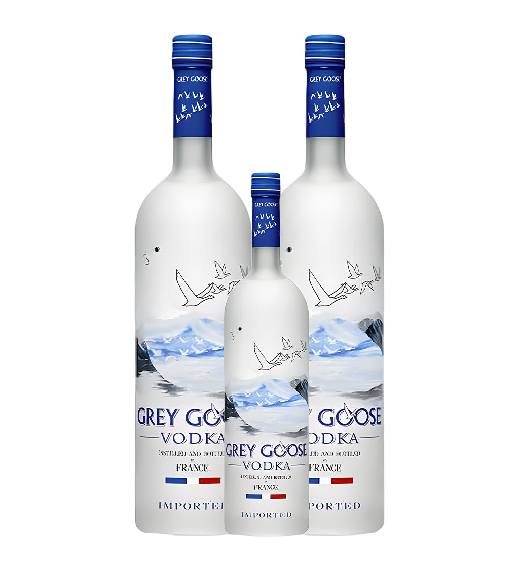 Grey Goose Vodka twin pack with 1L and 37.5cl frosted glass bottles on white background, blue and silver labels with flying geese illustration