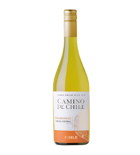 Bottle of Camino De Chile Chardonnay white wine from Chile