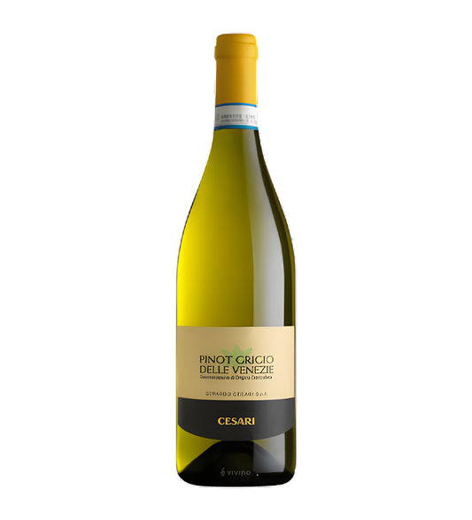 Bottle of Cesari Pinot Grigio Venezie IGT, white wine, from Italy