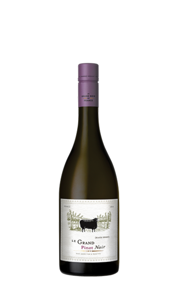 Le Grand Noir Pinot Noir 750ml by le grand noir - Compare prices in UAE