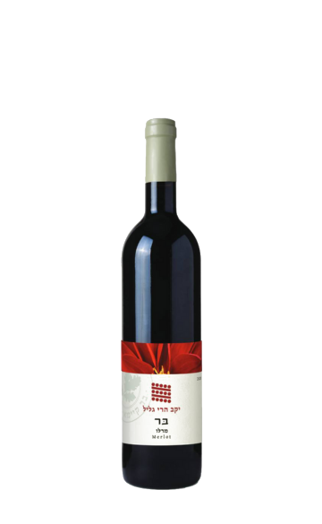 Galil Mountain Winery Merlot Upper Galilee 2020 Btl  75 CL