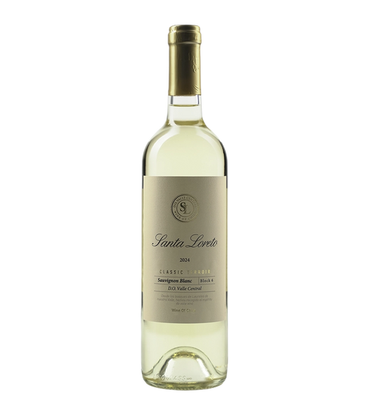 Santa Loreto Classic Terrior Sauvignon Blanc 750ml - Compare prices in UAE