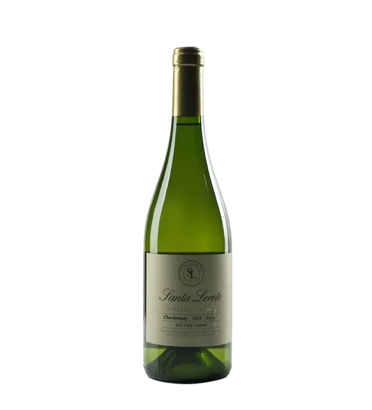 Santa Loreto Chardonnay 750ml