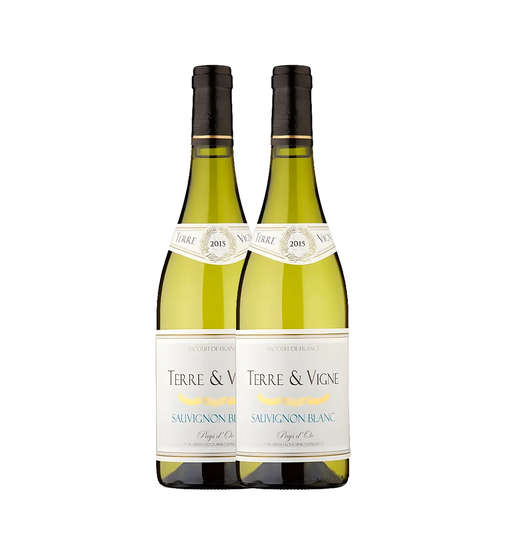 Terre Elements Sauvignon Blanc 750ml Pack of 2 by terre elements - Compare prices in UAE