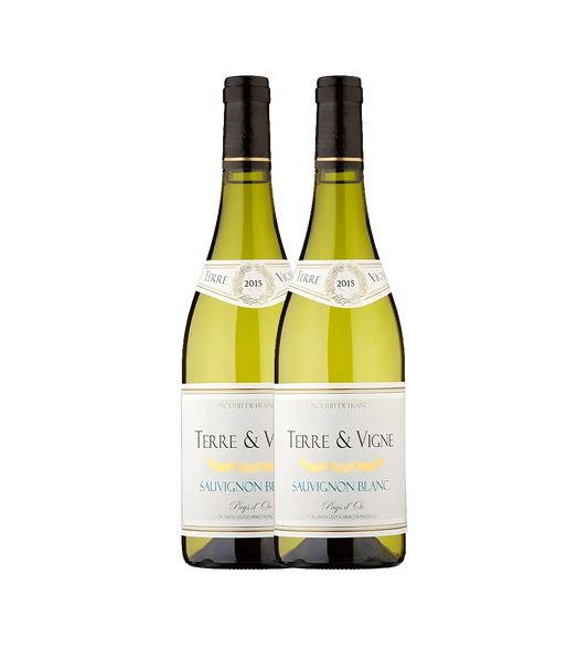 Terre Elements Sauvignon Blanc 750ml Pack of 2